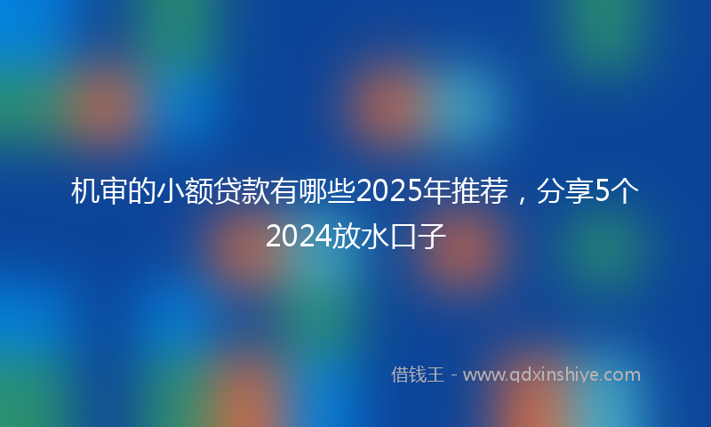机审的小额贷款有哪些2025年推荐，分享5个2024放水口子
