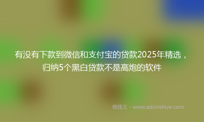 有没有下款到微信和支付宝的贷款2025年精选，归纳5个黑白贷款不是高炮的软件