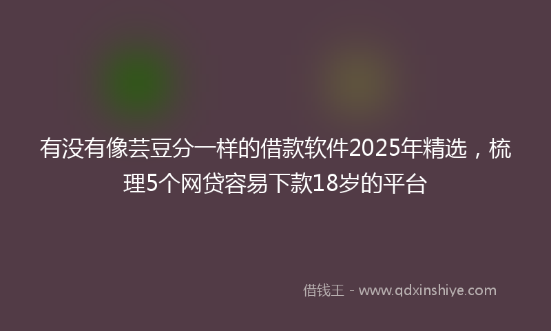 有没有像芸豆分一样的借款软件2025年精选,梳理5个网贷容易下款18岁的平台