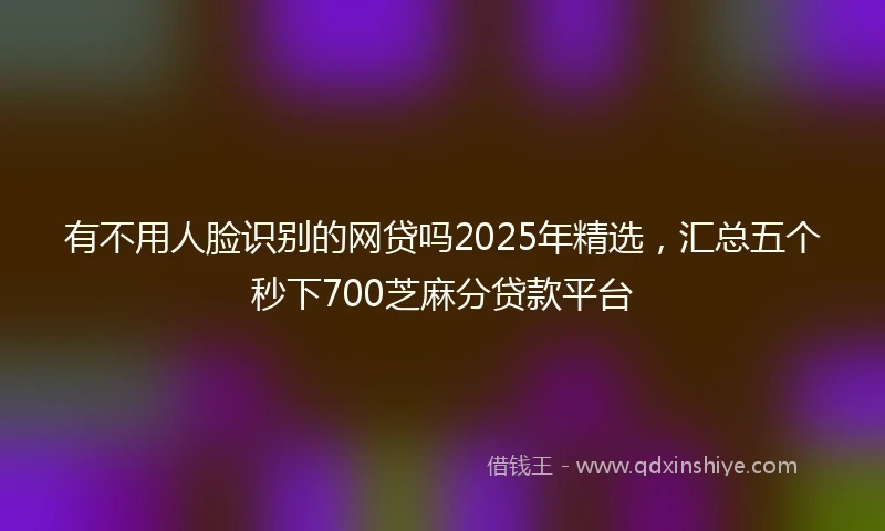 有不用人脸识别的网贷吗2025年精选，汇总五个秒下700芝麻分贷款平台