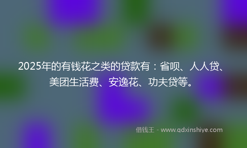 2025年的有钱花之类的贷款有：省呗、人人贷、美团生活费、安逸花、功夫贷等。