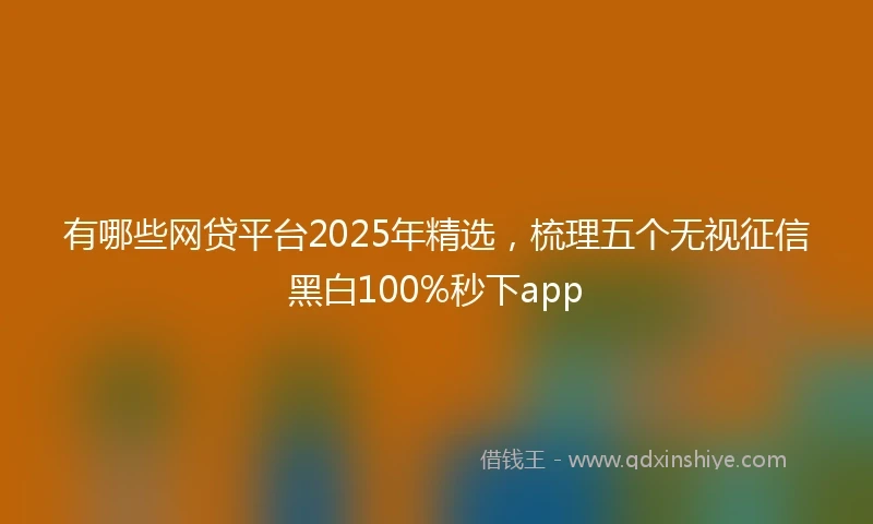 有哪些网贷平台2025年精选，梳理五个无视征信黑白100%秒下app