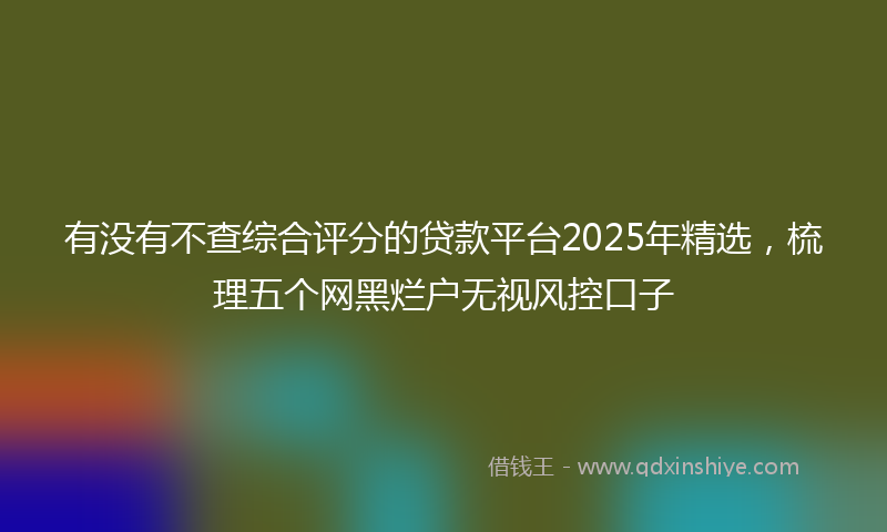 有没有不查综合评分的贷款平台2025年精选，梳理五个网黑烂户无视风控口子