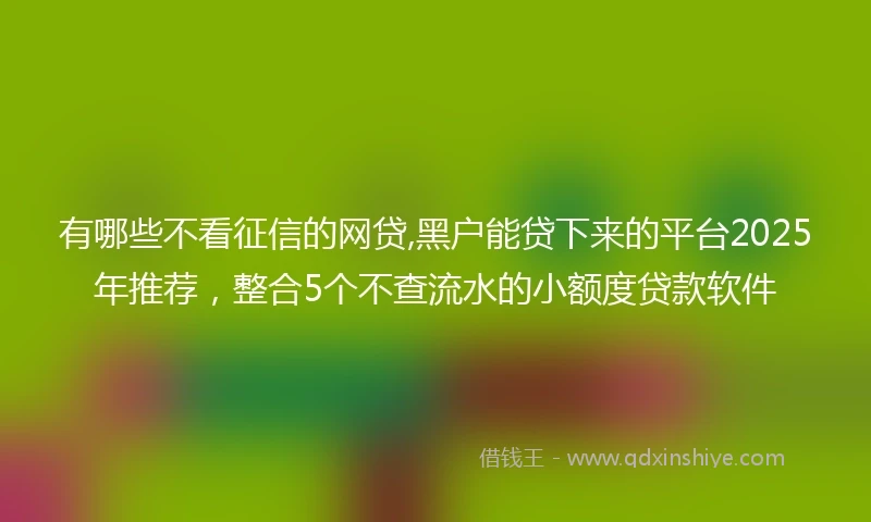 有哪些不看征信的网贷,黑户能贷下来的平台2025年推荐，整合5个不查流水的小额度贷款软件