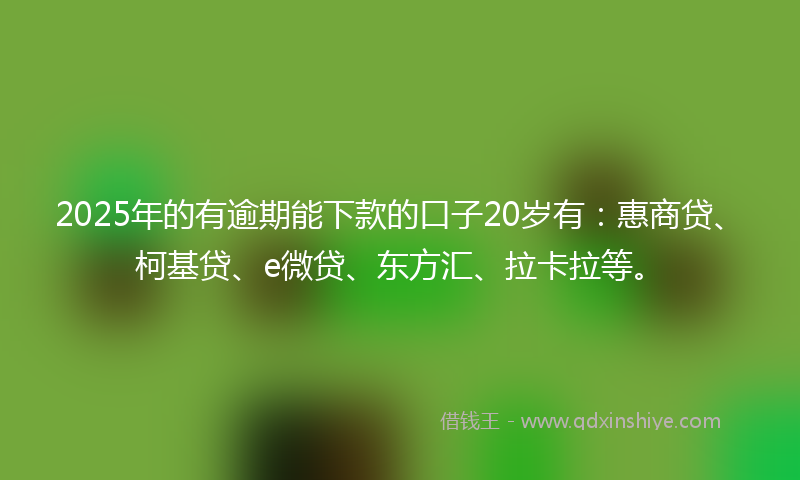 2025年的有逾期能下款的口子20岁有：惠商贷、柯基贷、e微贷、东方汇、拉卡拉等。