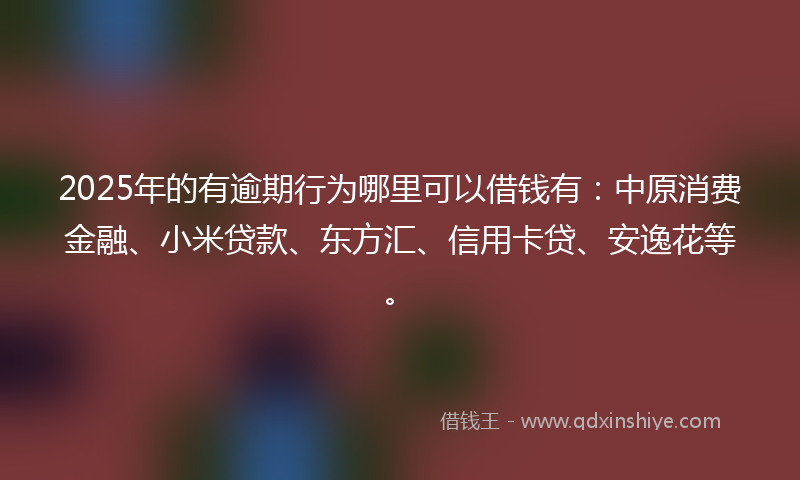 2025年的有逾期行为哪里可以借钱有：中原消费金融、小米贷款、东方汇、信用卡贷、安逸花等。