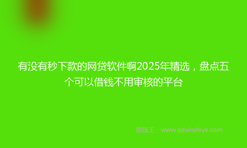 有没有秒下款的网贷软件啊2025年精选，盘点五个可以借钱不用审核的平台