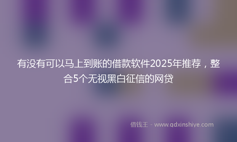 有没有可以马上到账的借款软件2025年推荐，整合5个无视黑白征信的网贷