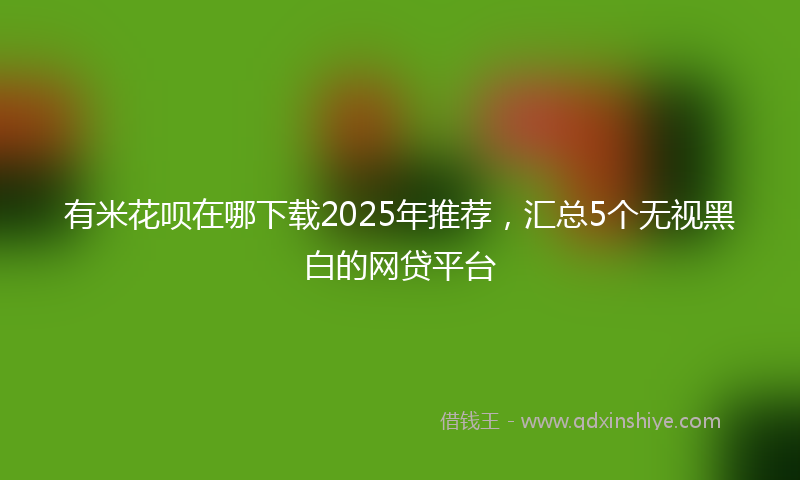 有米花呗在哪下载2025年推荐，汇总5个无视黑白的网贷平台