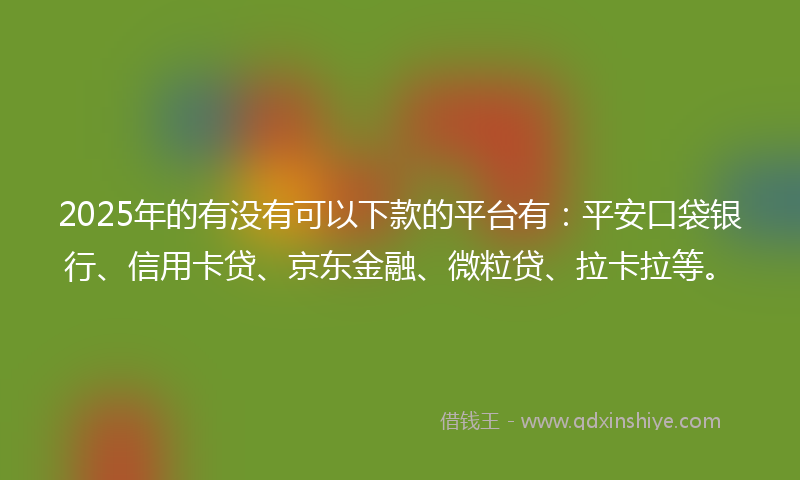 2025年的有没有可以下款的平台有：平安口袋银行、信用卡贷、京东金融、微粒贷、拉卡拉等。