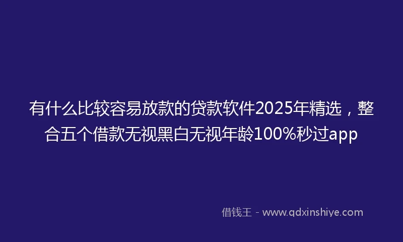 有什么比较容易放款的贷款软件2025年精选，整合五个借款无视黑白无视年龄100%秒过app