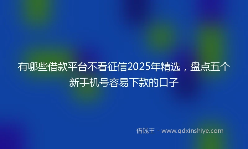 有哪些借款平台不看征信2025年精选，盘点五个新手机号容易下款的口子