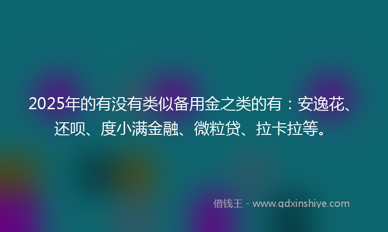 2025年的有没有类似备用金之类的有：安逸花、还呗、度小满金融、微粒贷、拉卡拉等。