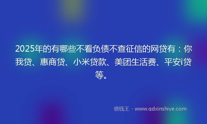 2025年的有哪些不看负债不查征信的网贷有：你我贷、惠商贷、小米贷款、美团生活费、平安i贷等。