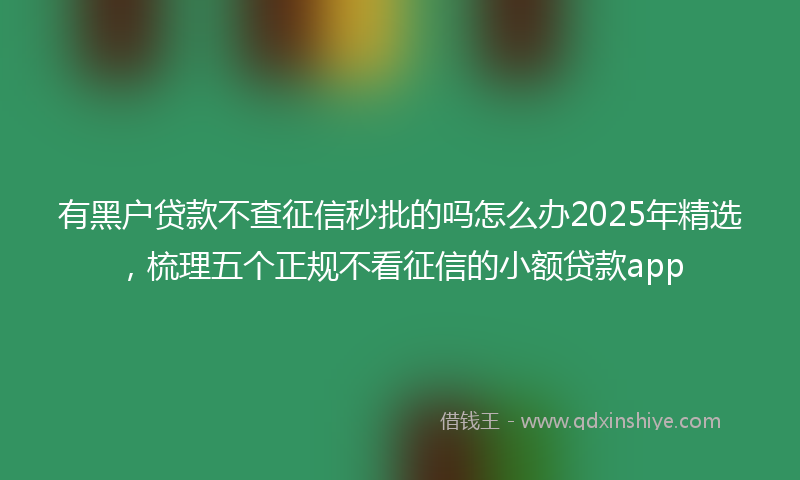 有黑户贷款不查征信秒批的吗怎么办2025年精选，梳理五个正规不看征信的小额贷款app