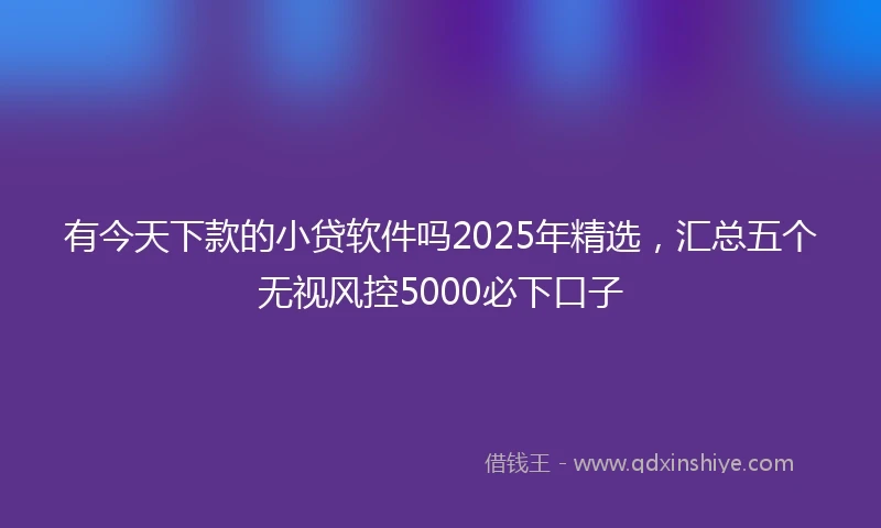 有今天下款的小贷软件吗2025年精选，汇总五个无视风控5000必下口子