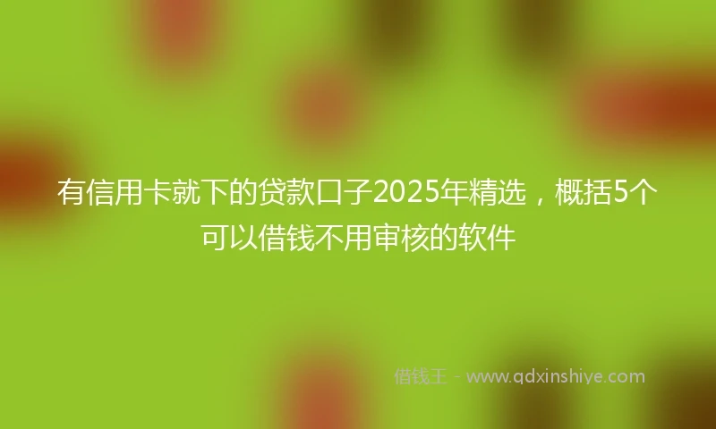 有信用卡就下的贷款口子2025年精选，概括5个可以借钱不用审核的软件