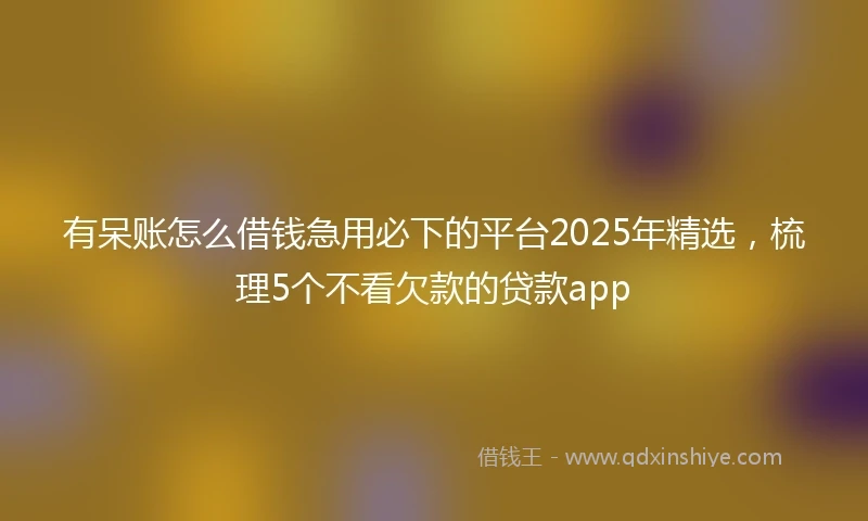 有呆账怎么借钱急用必下的平台2025年精选，梳理5个不看欠款的贷款app