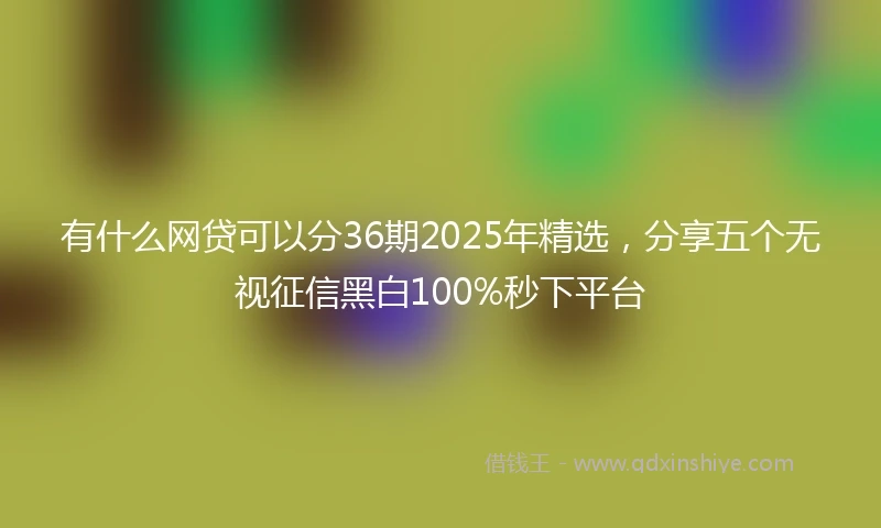 有什么网贷可以分36期2025年精选，分享五个无视征信黑白100%秒下平台