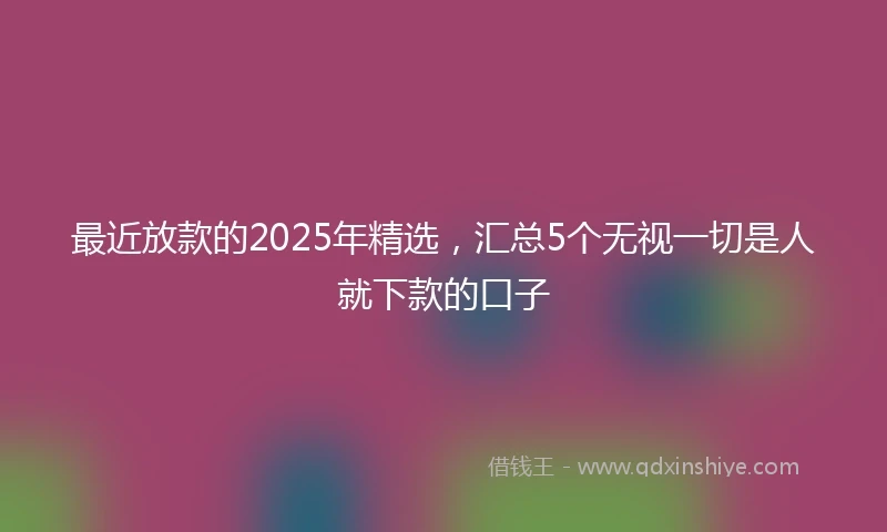 最近放款的2025年精选，汇总5个无视一切是人就下款的口子