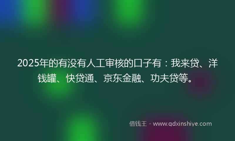 2025年的有没有人工审核的口子有：我来贷、洋钱罐、快贷通、京东金融、功夫贷等。