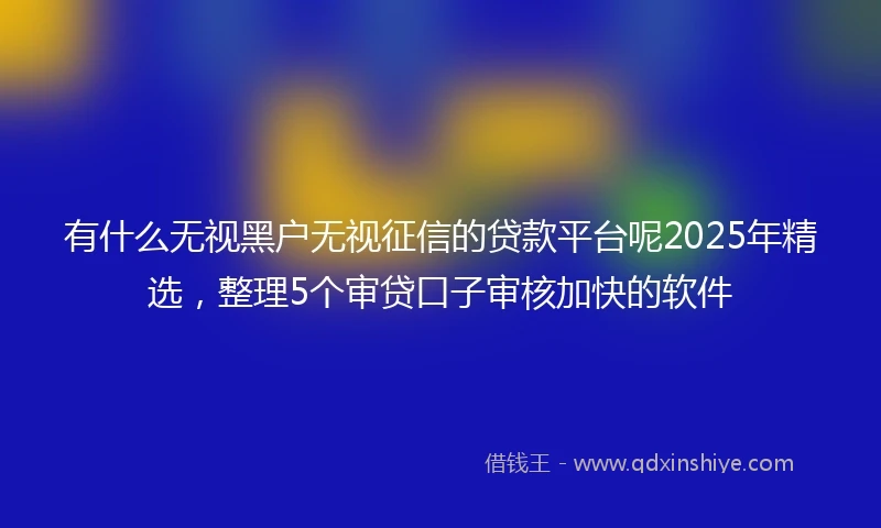 有什么无视黑户无视征信的贷款平台呢2025年精选，整理5个审贷口子审核加快的软件
