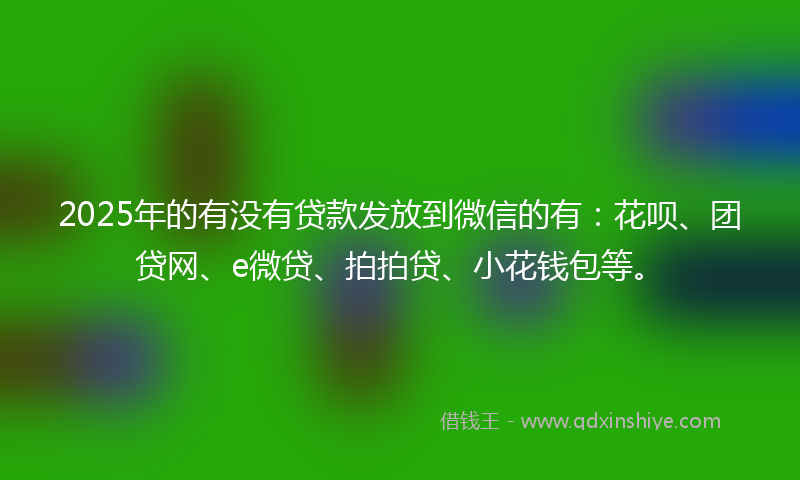 2025年的有没有贷款发放到微信的有：花呗、团贷网、e微贷、拍拍贷、小花钱包等。