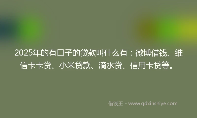 2025年的有口子的贷款叫什么有：微博借钱、维信卡卡贷、小米贷款、滴水贷、信用卡贷等。