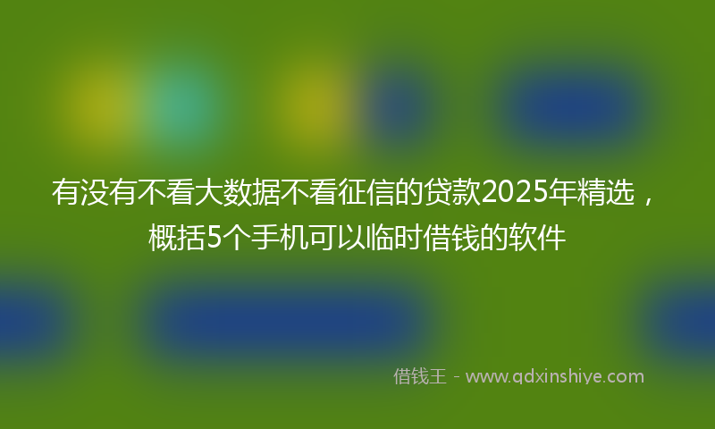 有没有不看大数据不看征信的贷款2025年精选，概括5个手机可以临时借钱的软件
