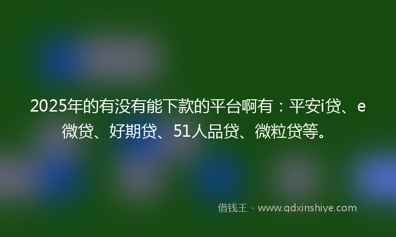 2025年的有没有能下款的平台啊有：平安i贷、e微贷、好期贷、51人品贷、微粒贷等。