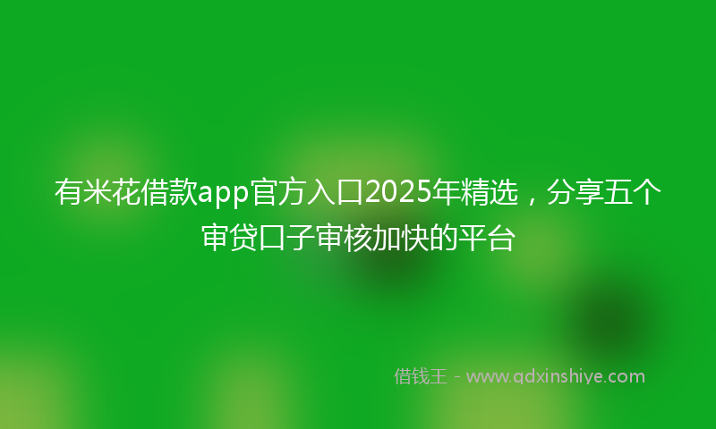 有米花借款app官方入口2025年精选，分享五个审贷口子审核加快的平台