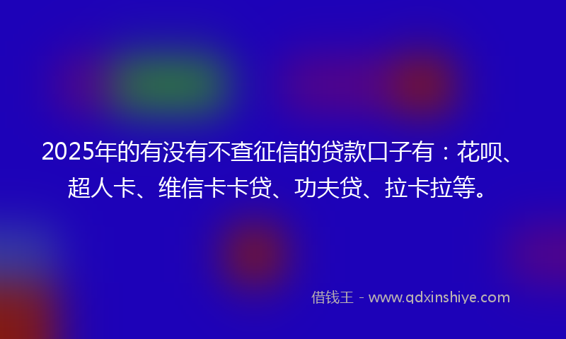 2025年的有没有不查征信的贷款口子有：花呗、超人卡、维信卡卡贷、功夫贷、拉卡拉等。