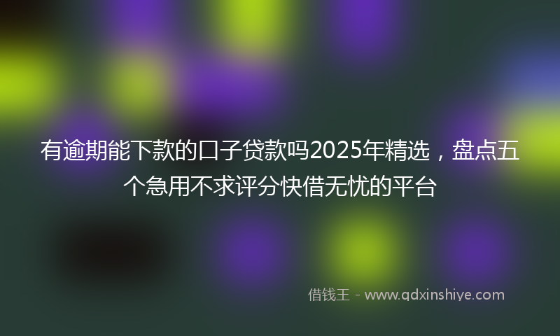 有逾期能下款的口子贷款吗2025年精选，盘点五个急用不求评分快借无忧的平台