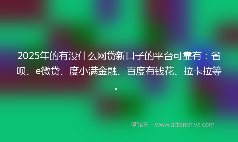 2025年的有没什么网贷新口子的平台可靠有：省呗、e微贷、度小满金融、百度有钱花、拉卡拉等。