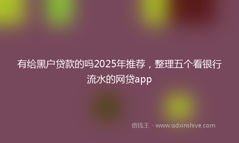 有给黑户贷款的吗2025年推荐，整理五个看银行流水的网贷app