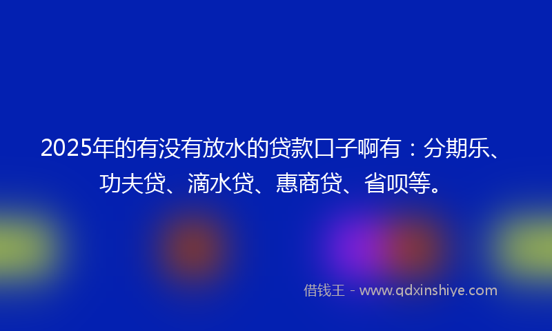 2025年的有没有放水的贷款口子啊有：分期乐、功夫贷、滴水贷、惠商贷、省呗等。