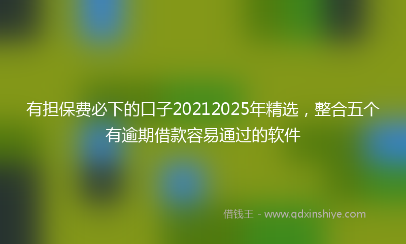有担保费必下的口子20212025年精选，整合五个有逾期借款容易通过的软件