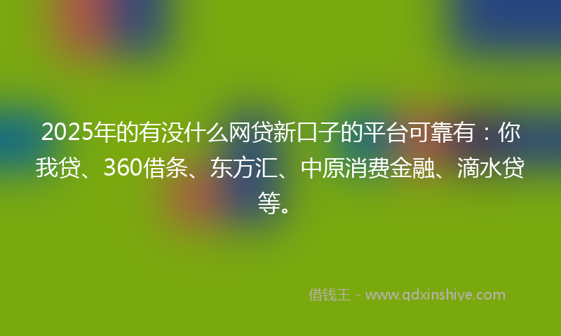 2025年的有没什么网贷新口子的平台可靠有：你我贷、360借条、东方汇、中原消费金融、滴水贷等。