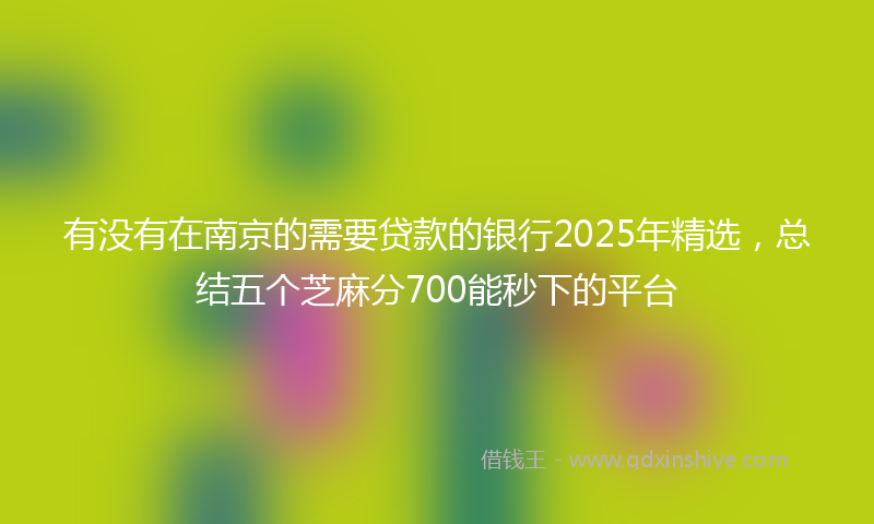 有没有在南京的需要贷款的银行2025年精选，总结五个芝麻分700能秒下的平台