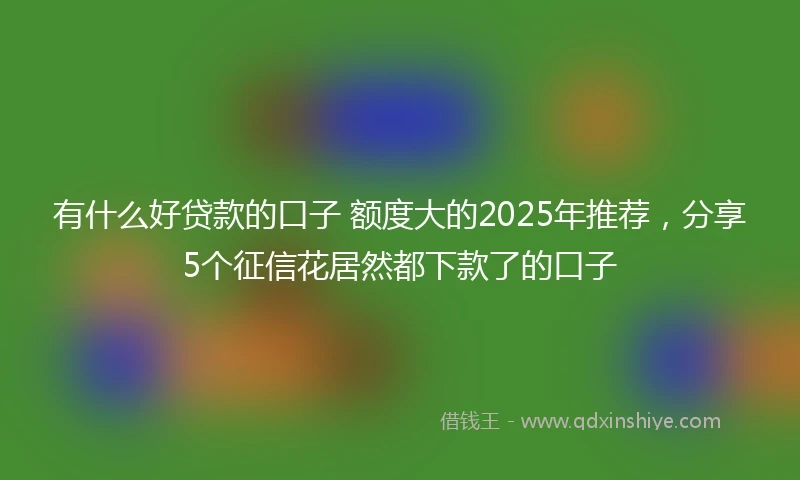 有什么好贷款的口子 额度大的2025年推荐，分享5个征信花居然都下款了的口子