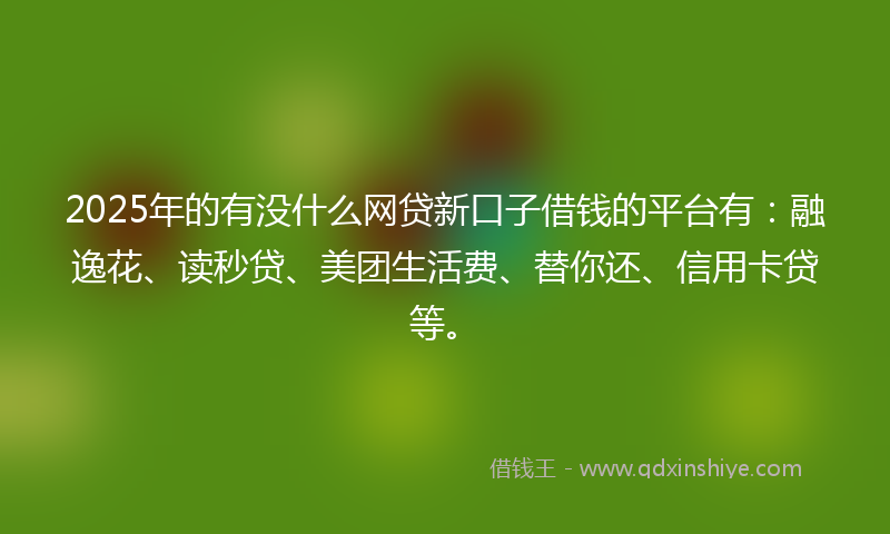 2025年的有没什么网贷新口子借钱的平台有：融逸花、读秒贷、美团生活费、替你还、信用卡贷等。