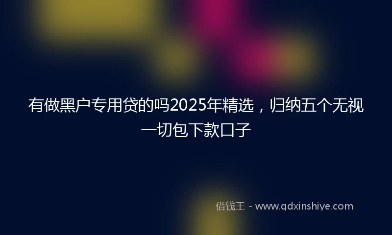 有做黑户专用贷的吗2025年精选，归纳五个无视一切包下款口子