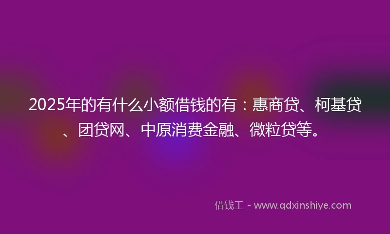2025年的有什么小额借钱的有：惠商贷、柯基贷、团贷网、中原消费金融、微粒贷等。