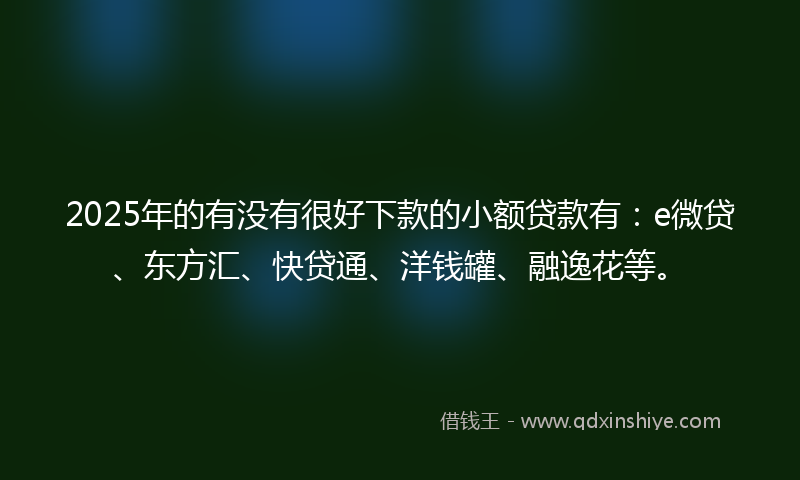 2025年的有没有很好下款的小额贷款有：e微贷、东方汇、快贷通、洋钱罐、融逸花等。