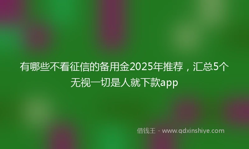 有哪些不看征信的备用金2025年推荐，汇总5个无视一切是人就下款app