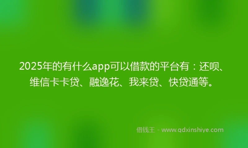 2025年的有什么app可以借款的平台有：还呗、维信卡卡贷、融逸花、我来贷、快贷通等。