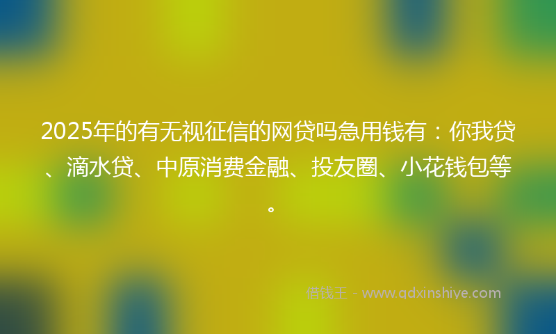 2025年的有无视征信的网贷吗急用钱有：你我贷、滴水贷、中原消费金融、投友圈、小花钱包等。