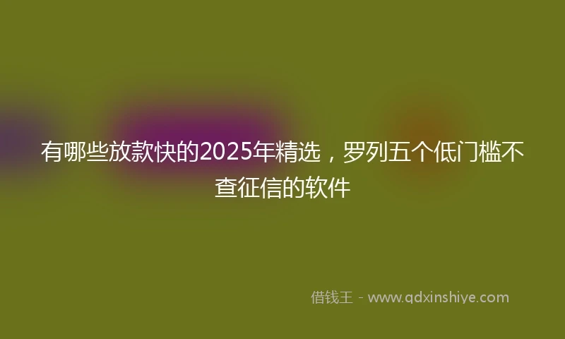 有哪些放款快的2025年精选，罗列五个低门槛不查征信的软件