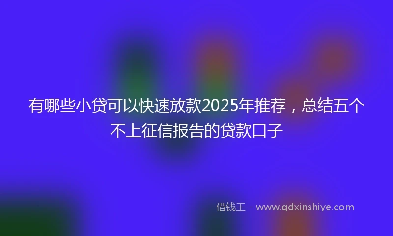有哪些小贷可以快速放款2025年推荐，总结五个不上征信报告的贷款口子