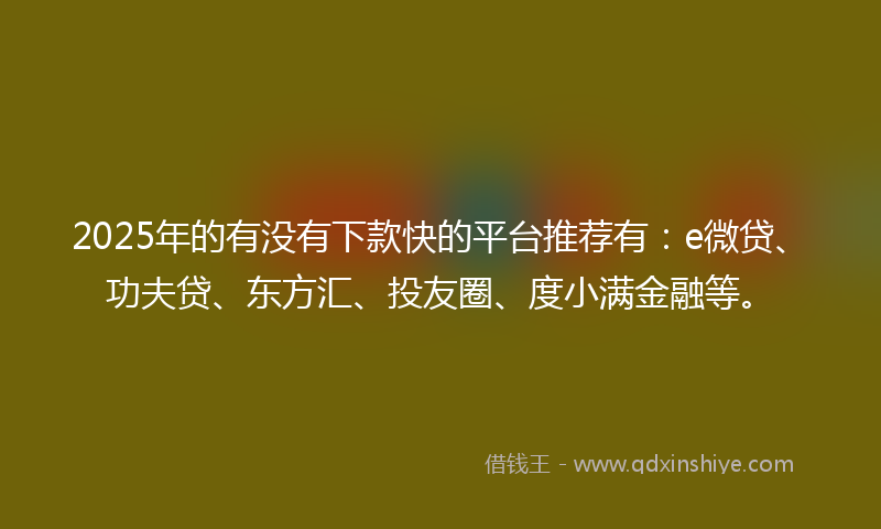 2025年的有没有下款快的平台推荐有：e微贷、功夫贷、东方汇、投友圈、度小满金融等。
